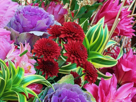 過年花市有開嗎？建國花市、台北花市、內湖花市營業時間必看！開運招財買什麼花、怎麼挑？花市春節攻略